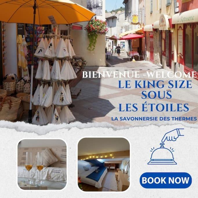 Le King & Suites Etoilees Gréoux-les-Bains Dış mekan fotoğraf